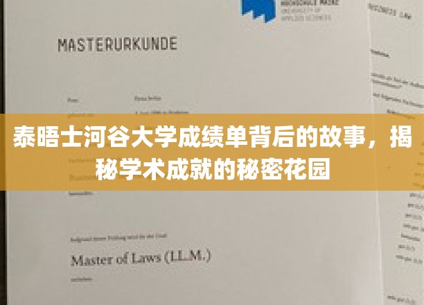 泰晤士河谷大学成绩单背后的故事，揭秘学术成就的秘密花园