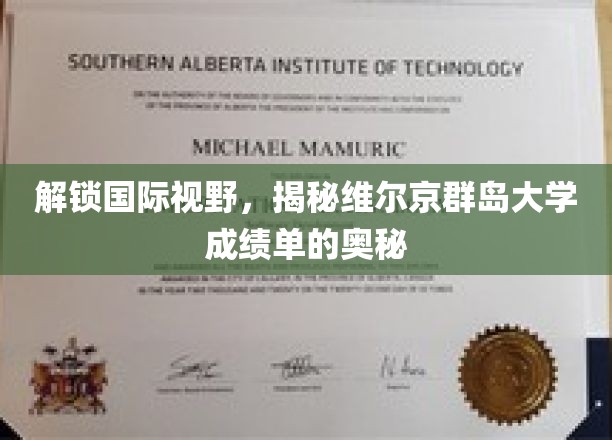 解锁国际视野，揭秘维尔京群岛大学成绩单的奥秘