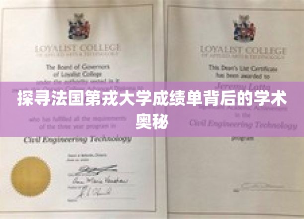 解码法国第戎大学成绩单，揭秘学术成就的秘密通道
