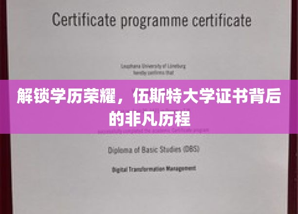 解锁学历荣耀，伍斯特大学证书背后的非凡历程
