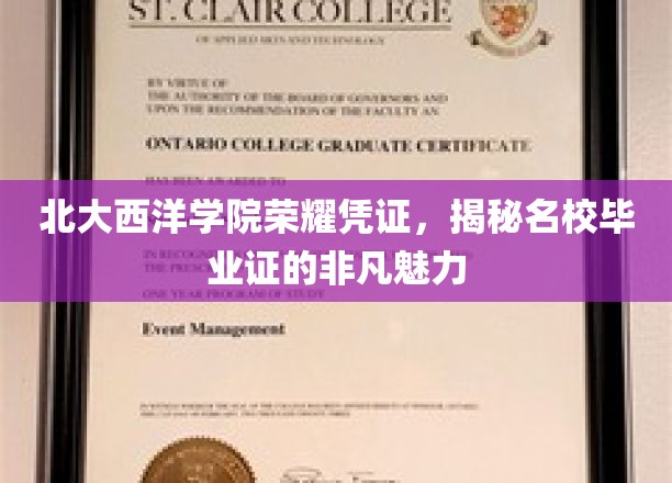 北大西洋学院荣耀凭证，揭秘名校毕业证的非凡魅力
