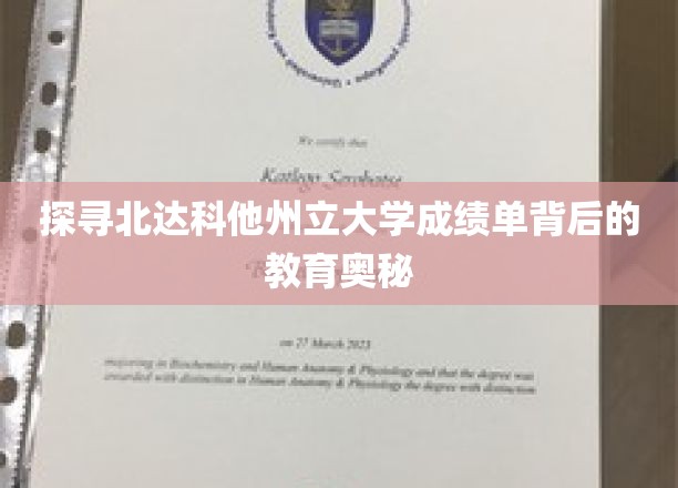 探寻北达科他州立大学成绩单背后的教育奥秘