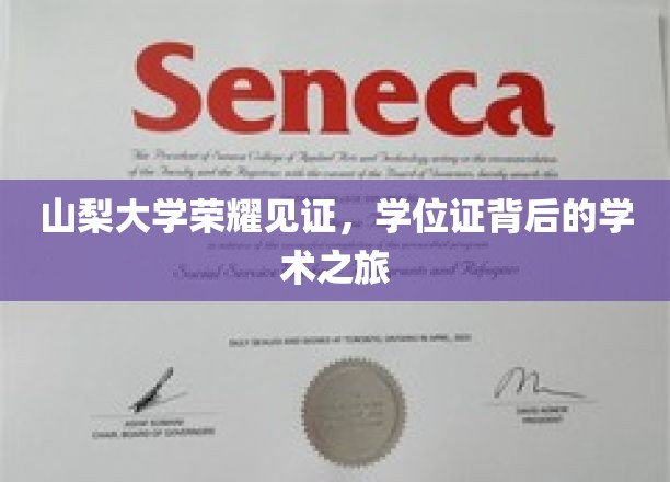 山梨大学荣耀足迹，一纸学位证背后的学术探险之旅