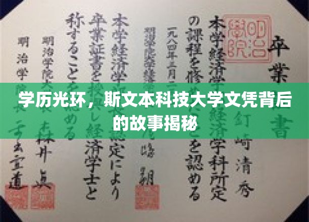 学历光环，斯文本科技大学文凭背后的故事揭秘