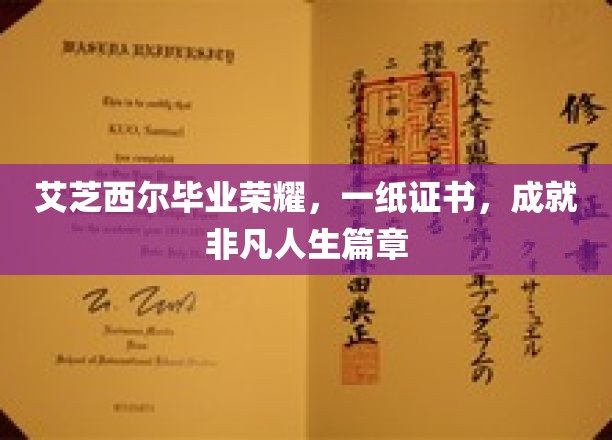 艾芝西尔荣耀时刻，毕业证书见证非凡梦想启航