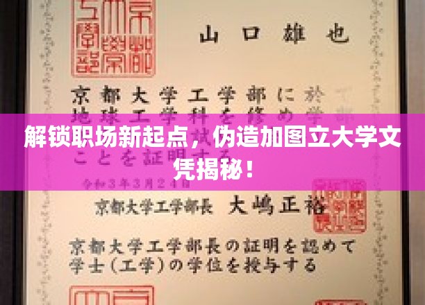 解锁职场新起点，伪造加图立大学文凭揭秘！