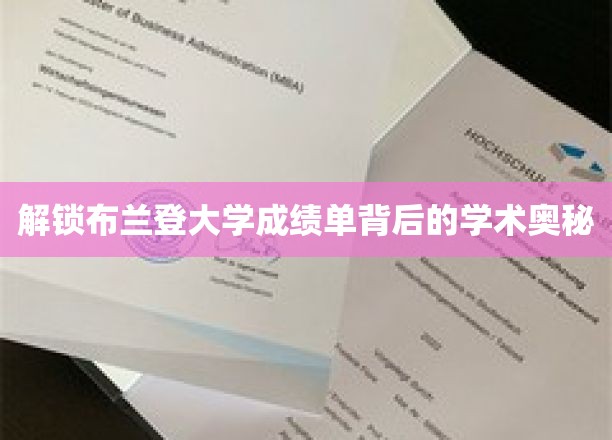探寻布兰登大学成绩单的秘密世界