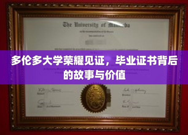 多伦多大学荣耀见证，毕业证书背后的故事与价值