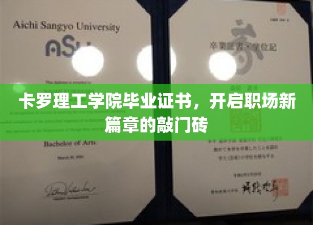 卡罗理工学院证书，解锁职场新起点