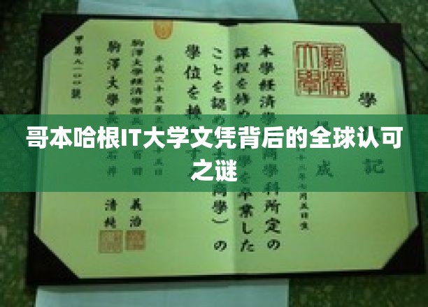 哥本哈根IT大学文凭背后的全球认可之谜
