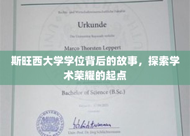斯旺西大学学位背后的传奇，揭秘学术征程的璀璨起点