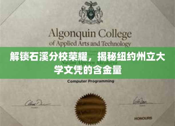 纽约州立大学石溪分校魅力揭秘，探秘高含金量文凭背后的故事