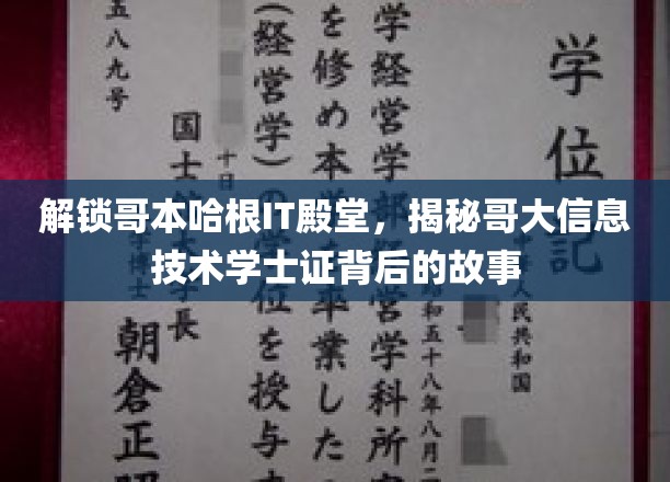 哥本哈根IT精英养成记，揭秘哥大信息技术学士证的传奇之路