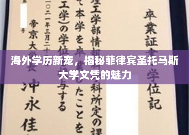 全球求职新利器，菲律宾圣托马斯大学学历的独到优势