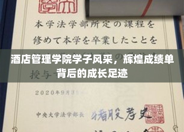 青春璀璨，荣耀篇章，酒店管理学院学子成长之路