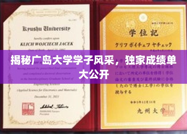 广岛大学精英风采大揭秘，独家成绩单曝光，一睹学子卓越风采