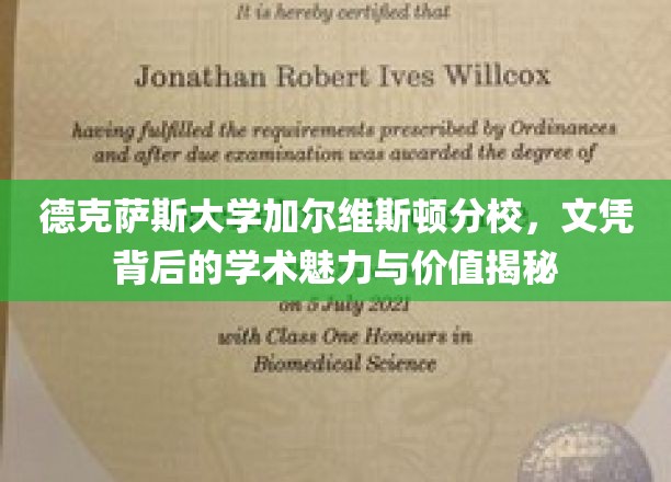 德克萨斯大学加尔维斯顿分校，探寻文凭背后的学术瑰宝