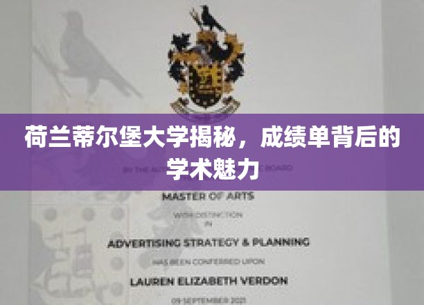 荷兰蒂尔堡大学，成绩单里的学术风景线