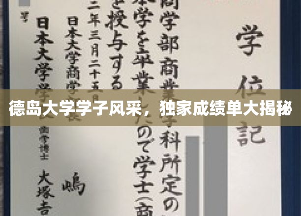 德岛学子闪耀校园，揭秘独家成绩单背后的青春故事