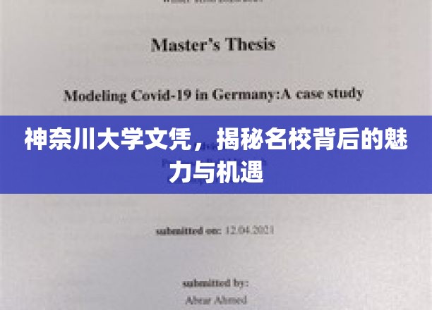 解码神奈川，名校文凭背后的无限可能