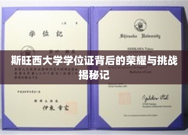斯旺西大学学位证背后的荣耀与挑战揭秘记