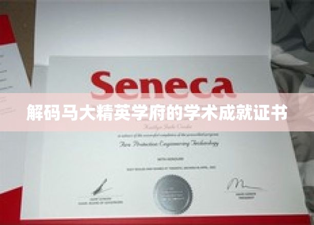 解码马来西亚精英学府的学术成就证书