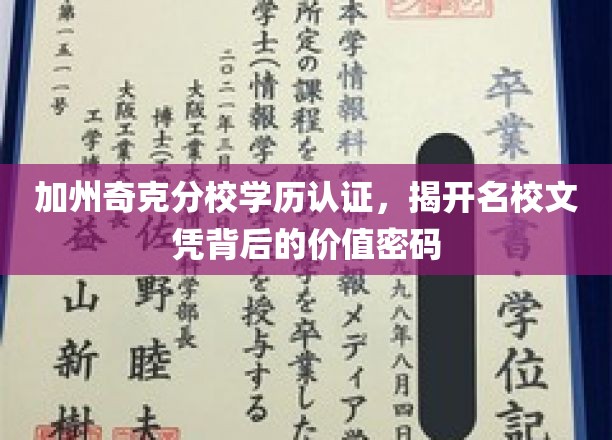 加州奇克分校学历认证，揭开名校文凭背后的价值密码
