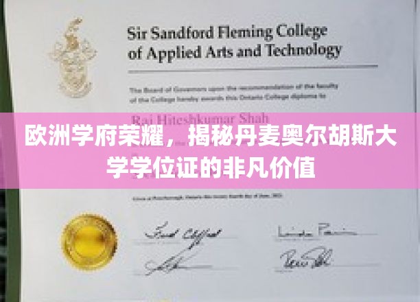探索丹麦奥尔胡斯大学学位证的欧洲学术荣耀之路