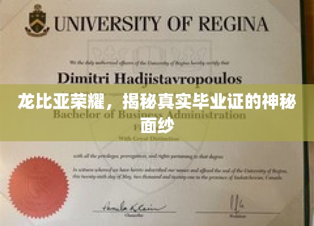 解码龙比亚荣耀，揭开假证背后的真实秘密