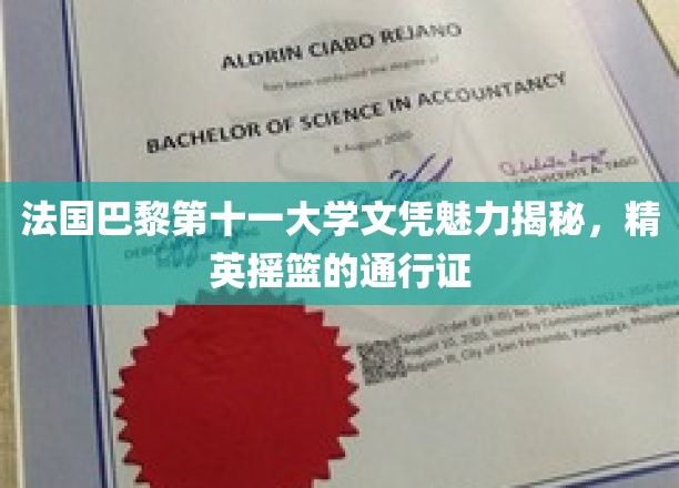 法国巴黎第十一大学文凭魅力揭秘，精英摇篮的通行证