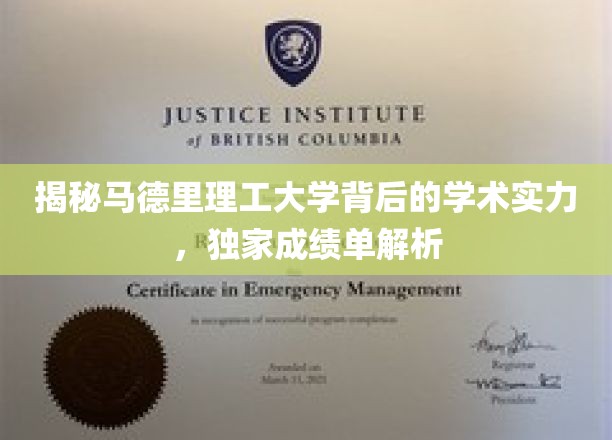 马德里理工大学：揭秘学术实力，独家成绩单解读