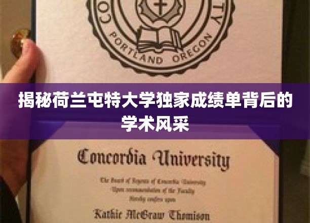 荷兰屯特大学独家成绩单揭示的学术风采