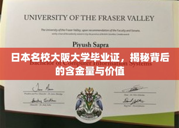 揭秘大阪大学毕业证，日本名校证书的非凡价值与影响力
