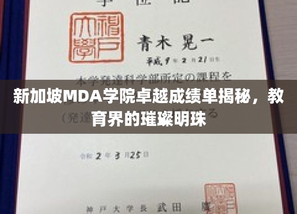 新加坡MDA学院卓越成绩单大揭秘，教育界璀璨的明珠