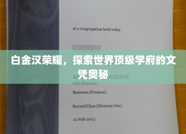 白金汉荣耀，探索世界顶级学府的文凭奥秘