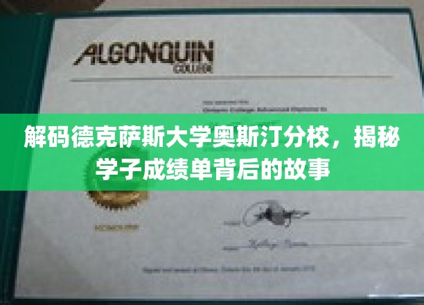 解码德克萨斯大学奥斯汀分校，揭秘学子成绩单背后的故事