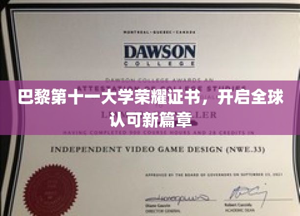 巴黎第十一大学荣耀证书，开启全球认可新篇章