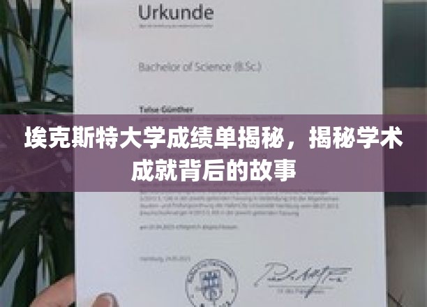埃克斯特大学成绩单揭秘，探寻学术成就背后的故事