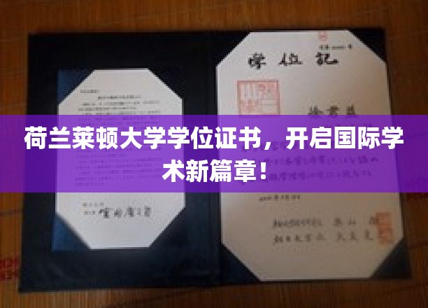 荷兰莱顿大学学位证书闪耀，引领全球学术新里程