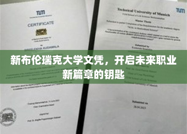 解锁职业新境界，新布伦瑞克大学文凭引领未来就业潮流