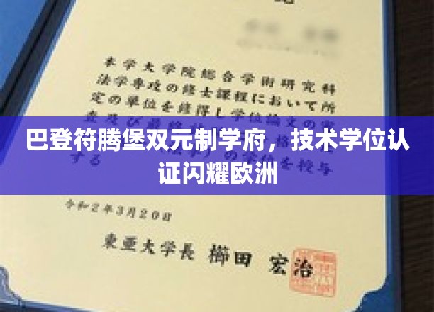 欧洲教育之光，巴登符腾堡双元制学府技术学位认证闪耀全场