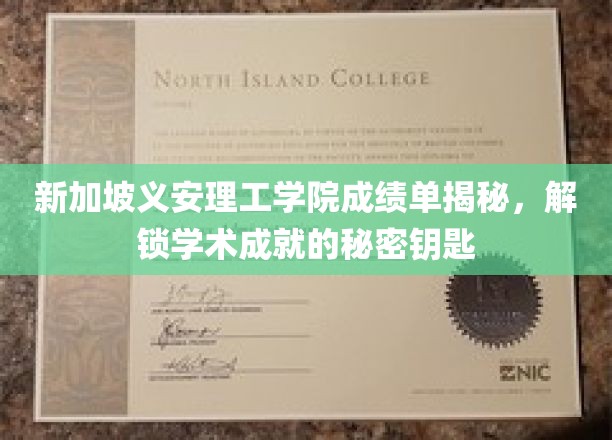 新加坡义安理工学院成绩单大揭秘：揭秘学术成就的奥秘
