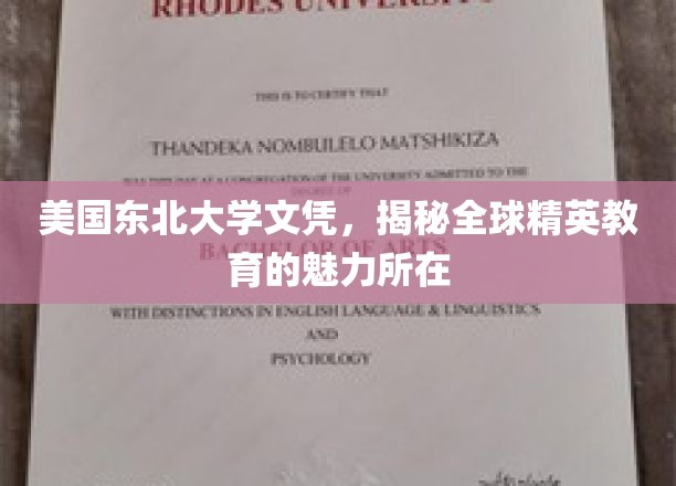解锁美国东北大学文凭背后的全球精英教育风采
