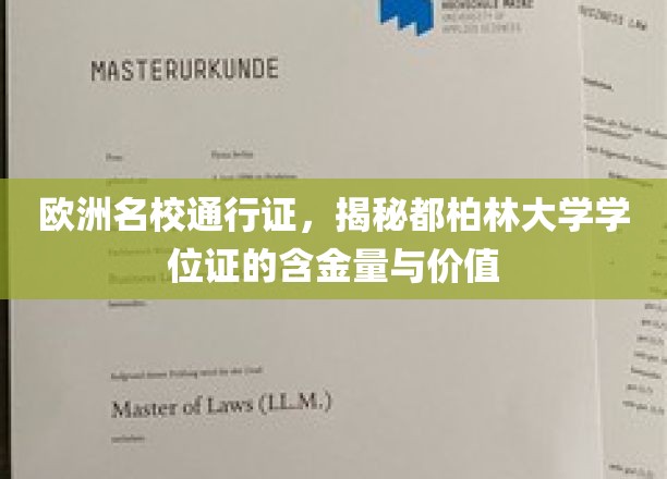 欧洲名校通行证，揭秘都柏林大学学位证的含金量与价值
