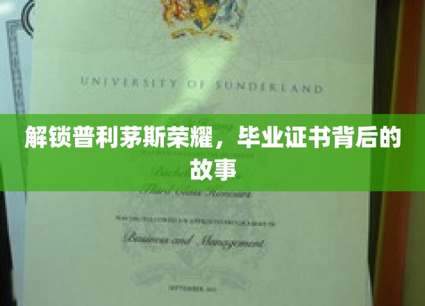 探寻普利茅斯传奇，毕业证书背后的荣耀之谜