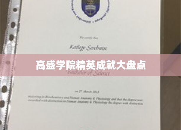 高盛学院精英成就大盘点