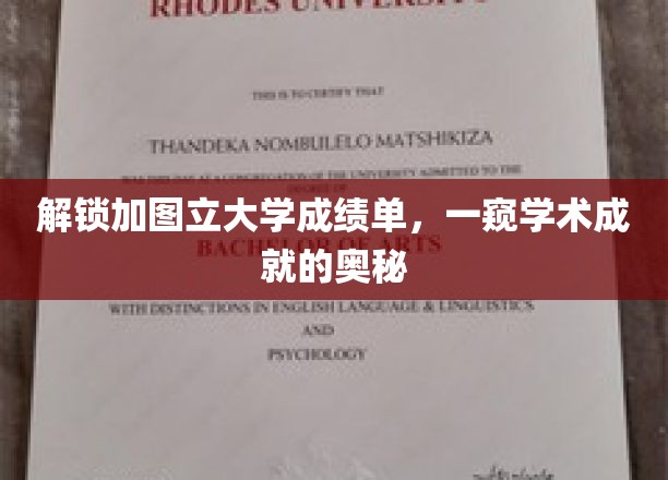 解锁加图立大学成绩单，一窥学术成就的奥秘