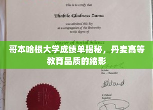 揭开哥本哈根大学成绩单之谜，一窥丹麦高等教育的卓越风采