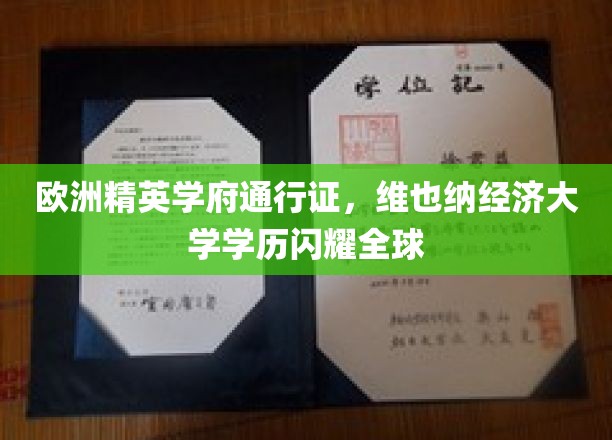 跨国精英通行证，维也纳经济大学学历照亮世界舞台