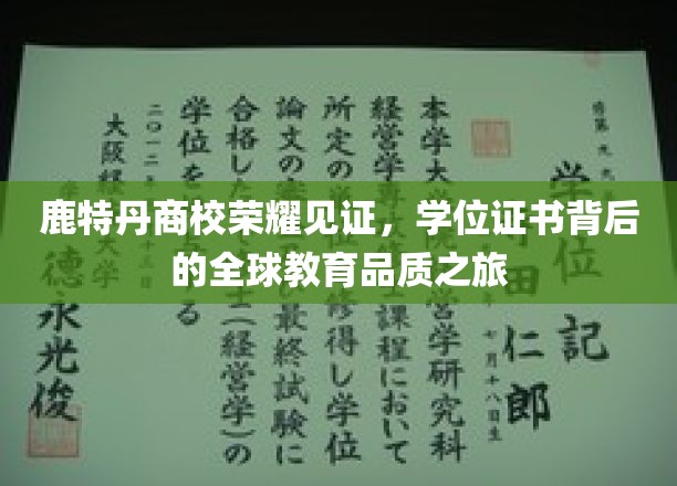 鹿特丹商校荣耀绽放，探寻学位证书背后的国际教育风采